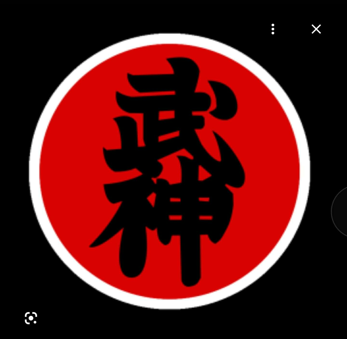 Logo Radu Sport Academy curs Ninjutsu Bacau